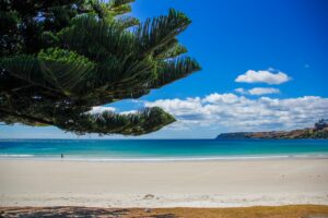 The Best Beaches In Tasmania